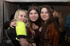 SF_6313